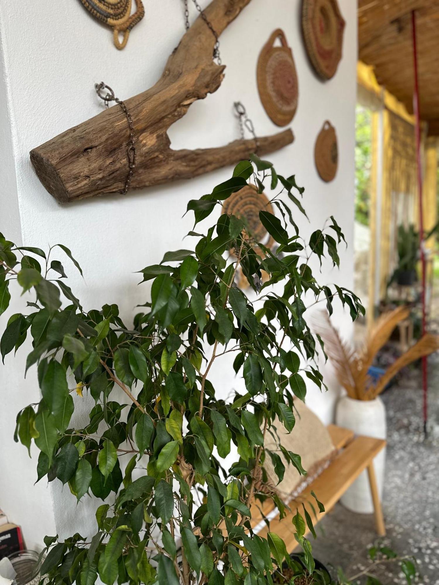 L'Onda Oda Bodrum Extérieur photo