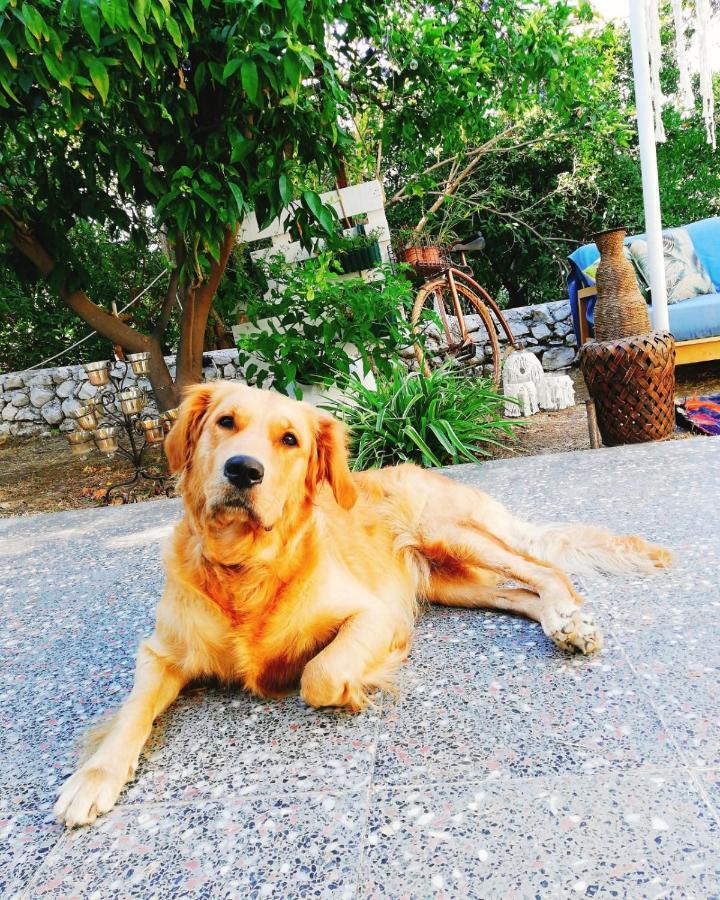 L'Onda Oda Bodrum Extérieur photo